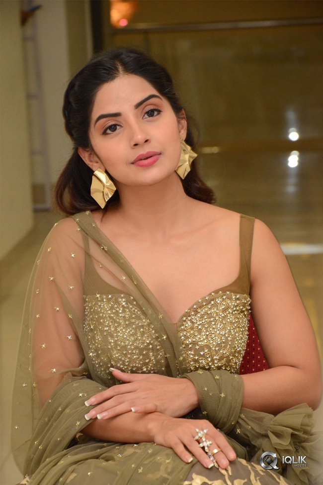 Kashmira-at-Nartanasala-Pre-Release-Event